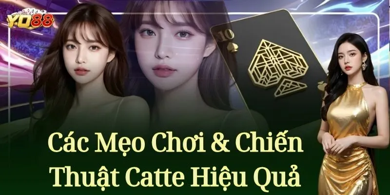 Các Mẹo Chơi & Chiến Thuật Catte Hiệu Quả